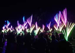 Light installations in the park