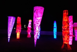 Light installations in the park